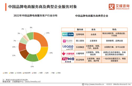 2023年中國(guó)品牌電商服務(wù)商行業(yè)研究報(bào)告 信息咨詢(xún)服務(wù)的演進(jìn)與展望