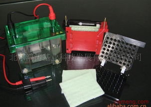 鴻濤基業化妝品加盟連鎖 開啟創業新篇章，火爆招商進行中